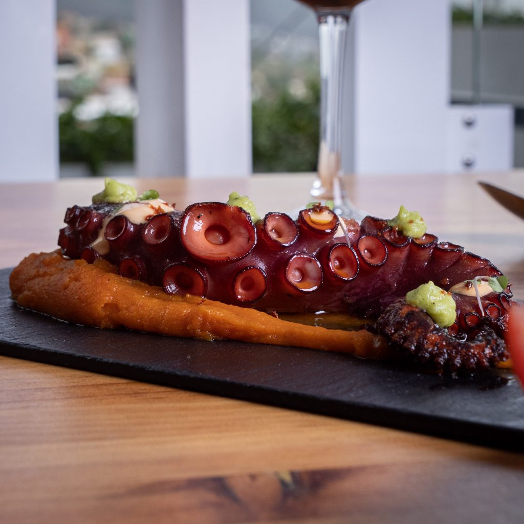 Rejo de pulpo