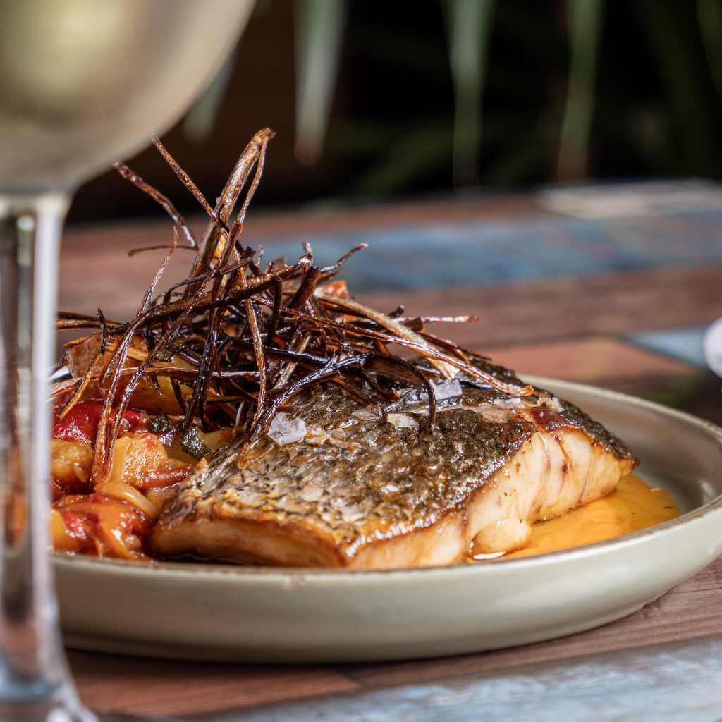 Corvina Salvaje